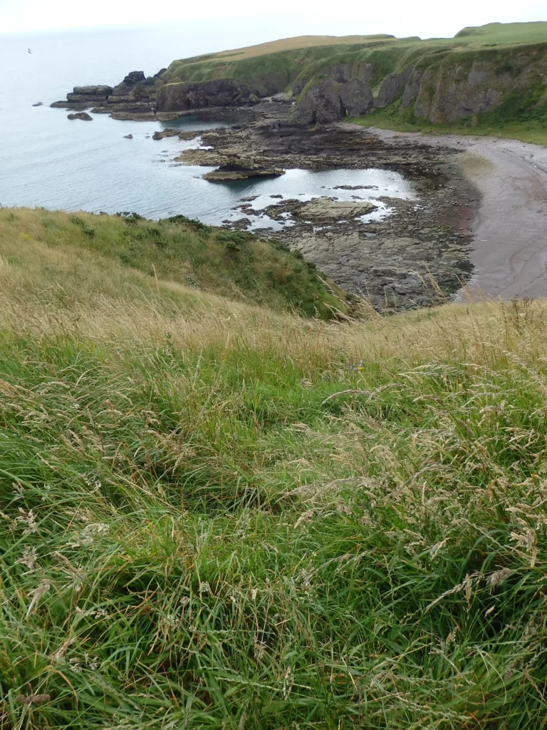 Scottish shores